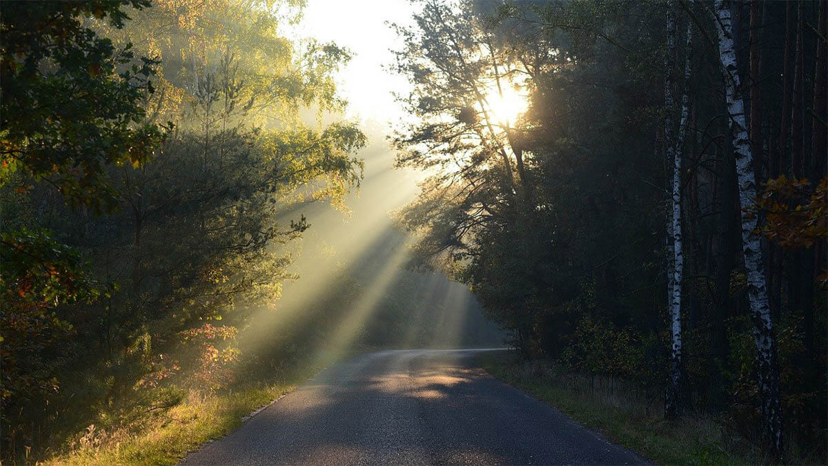 weg-wald-sonnenstrahlen-seele