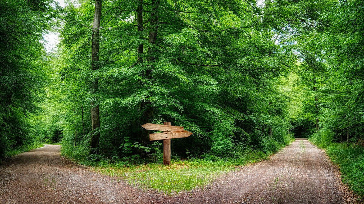 weggabel schilder wald