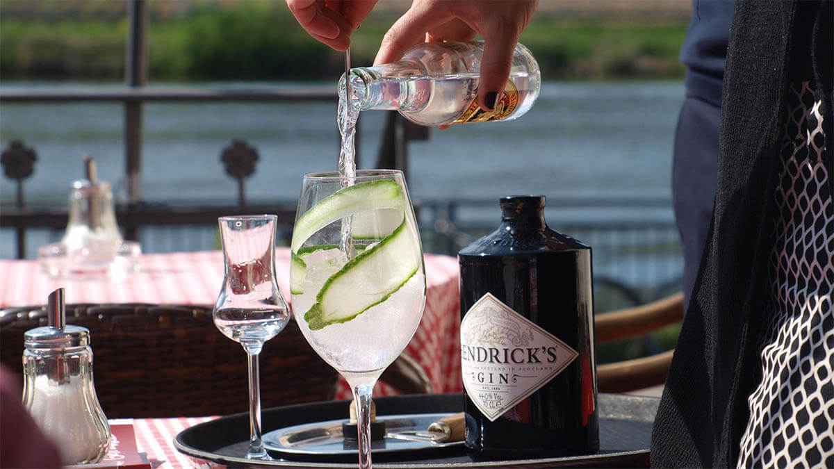 gin tonic an