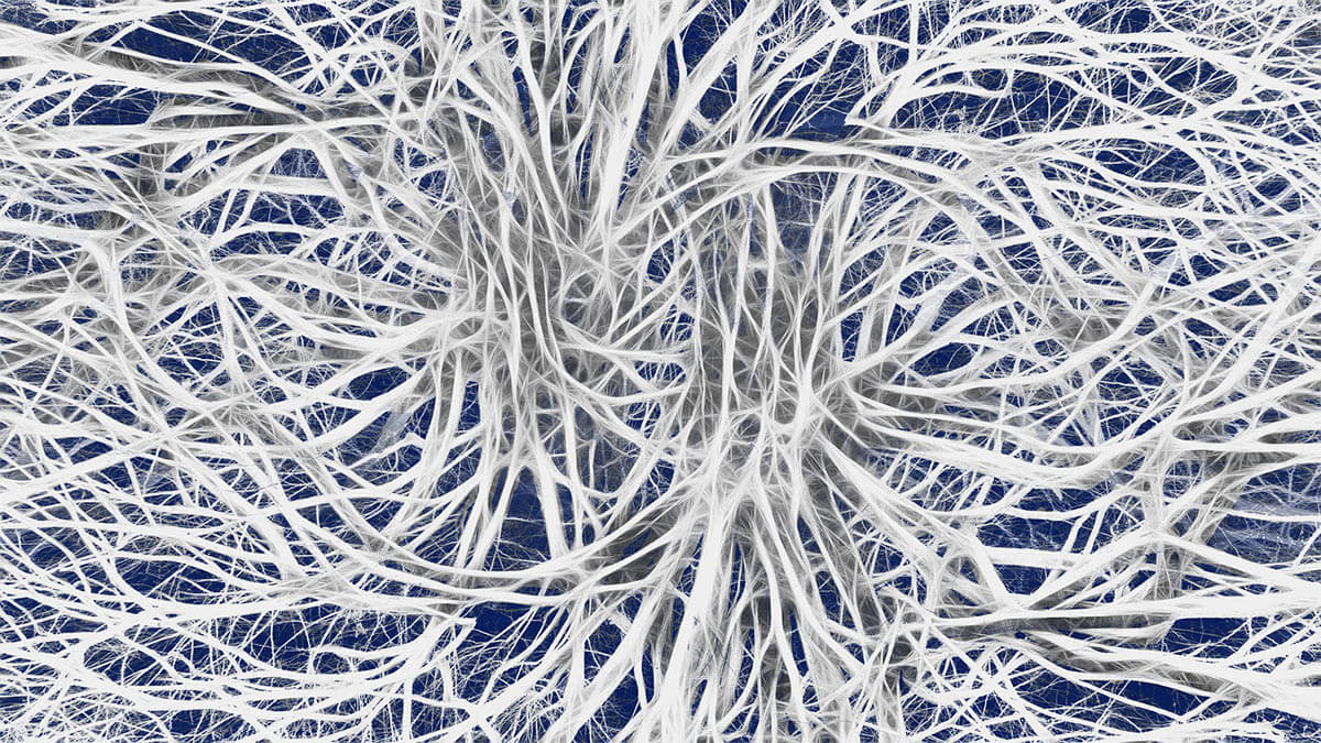 nervensystem