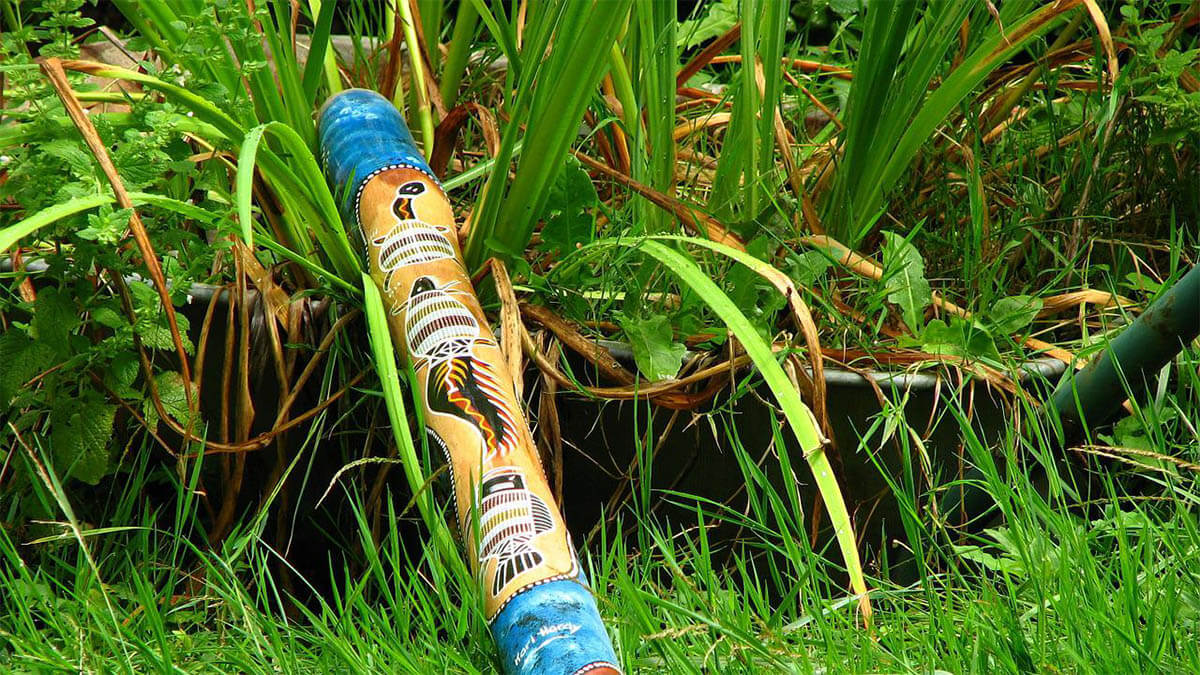 didgeridoo 1