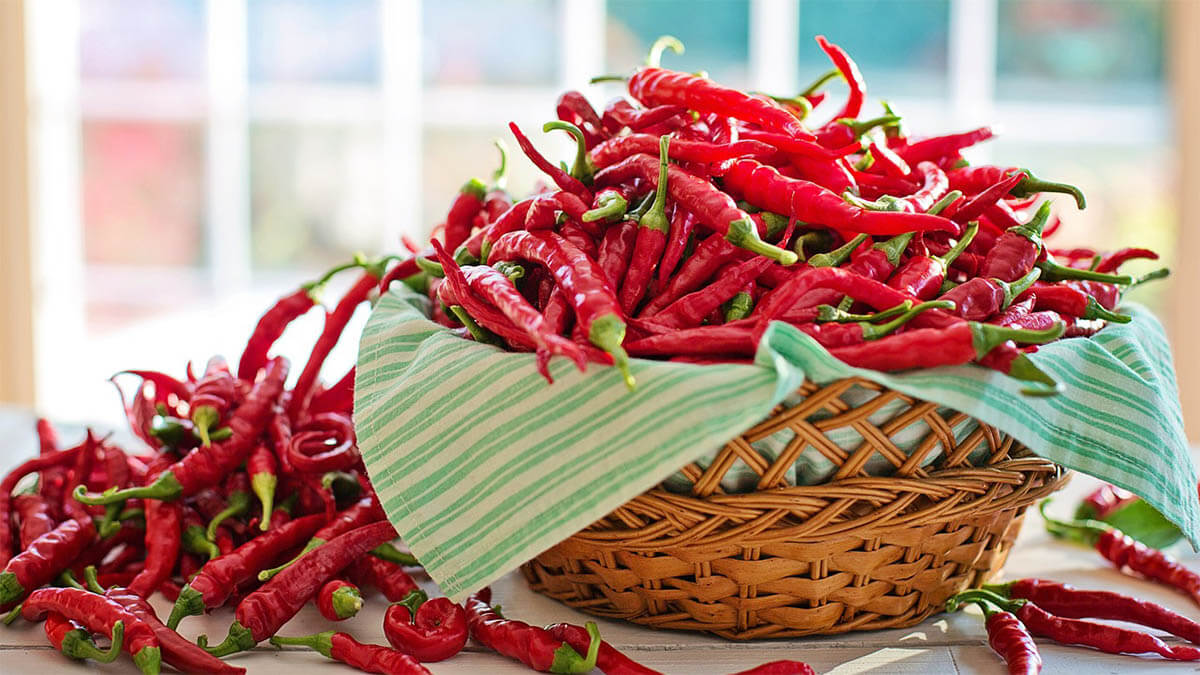 cayenne chili