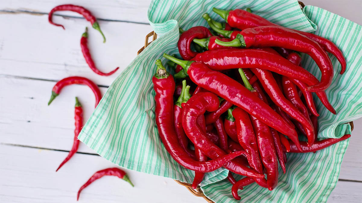 chili schoten
