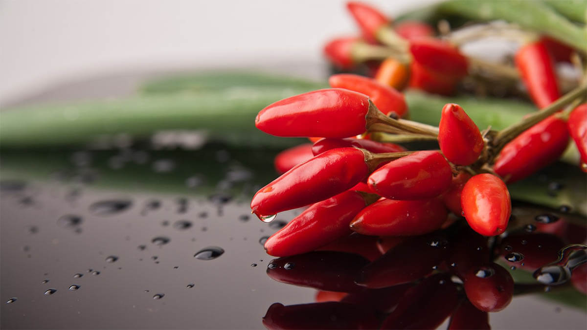 chilli piri piri