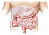 histamin2