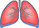 histamin5