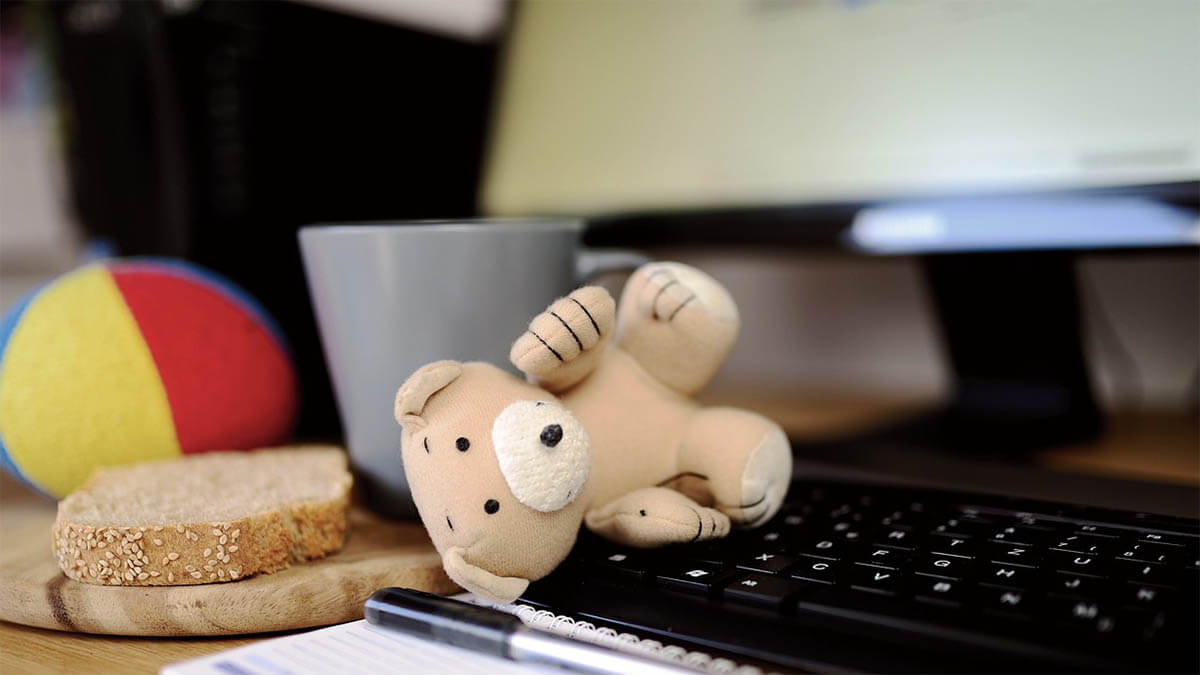 teddybaer tastatur