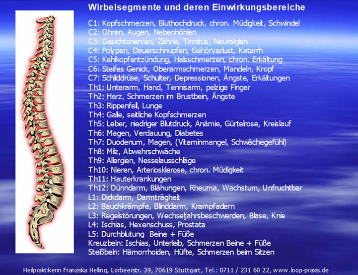 wirbelsaeulen uebersicht franziska helling