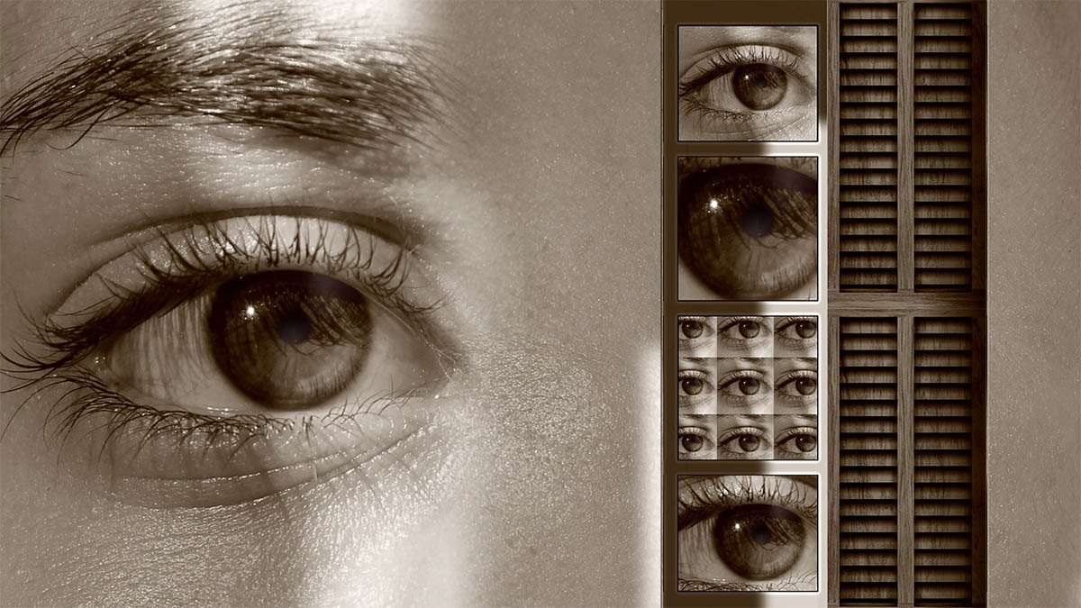 sinnesorgane augen