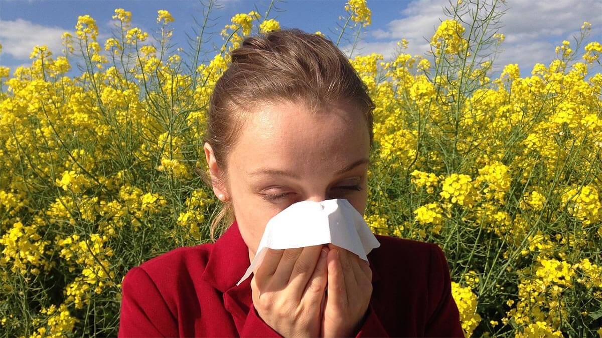 Allergien allergie-heuschnupfen-gelbe-blumen