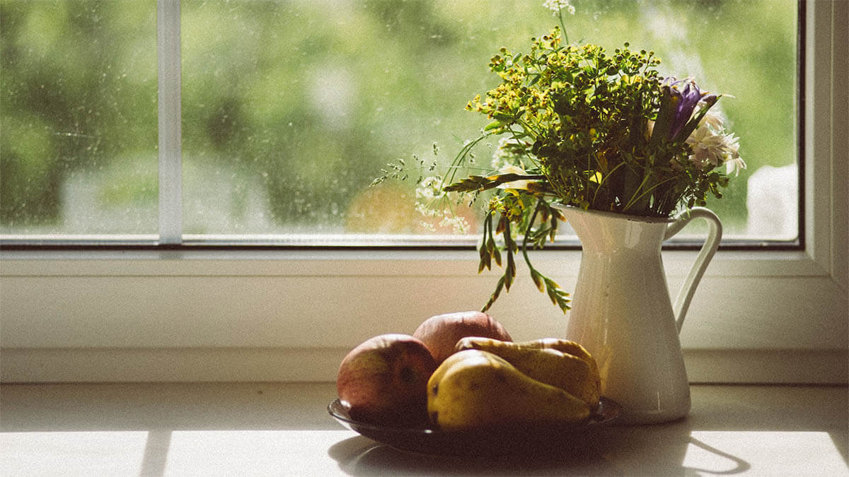 blumendekoration blume fenster 3