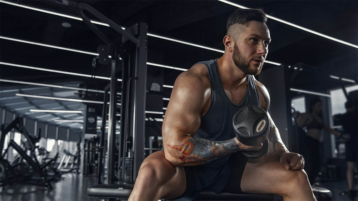 bodybuilding gewichtheben an