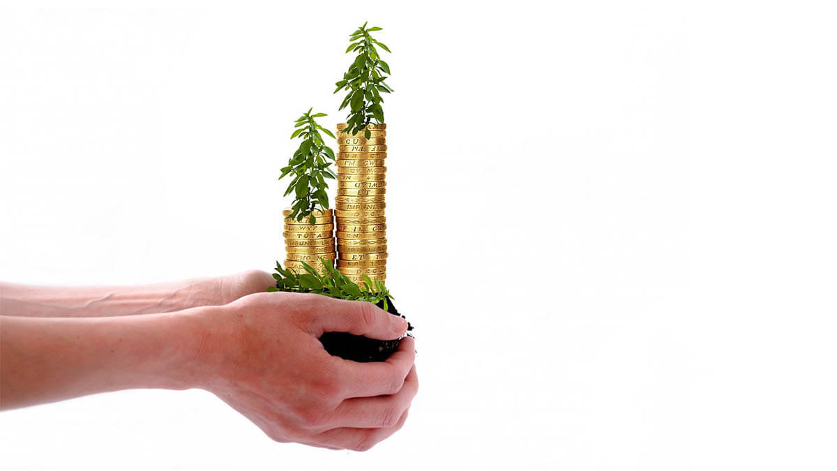 Welche Möglichkeiten gibt es in der freien Natur Geld zu verdienen? geld-pflanzen-haende