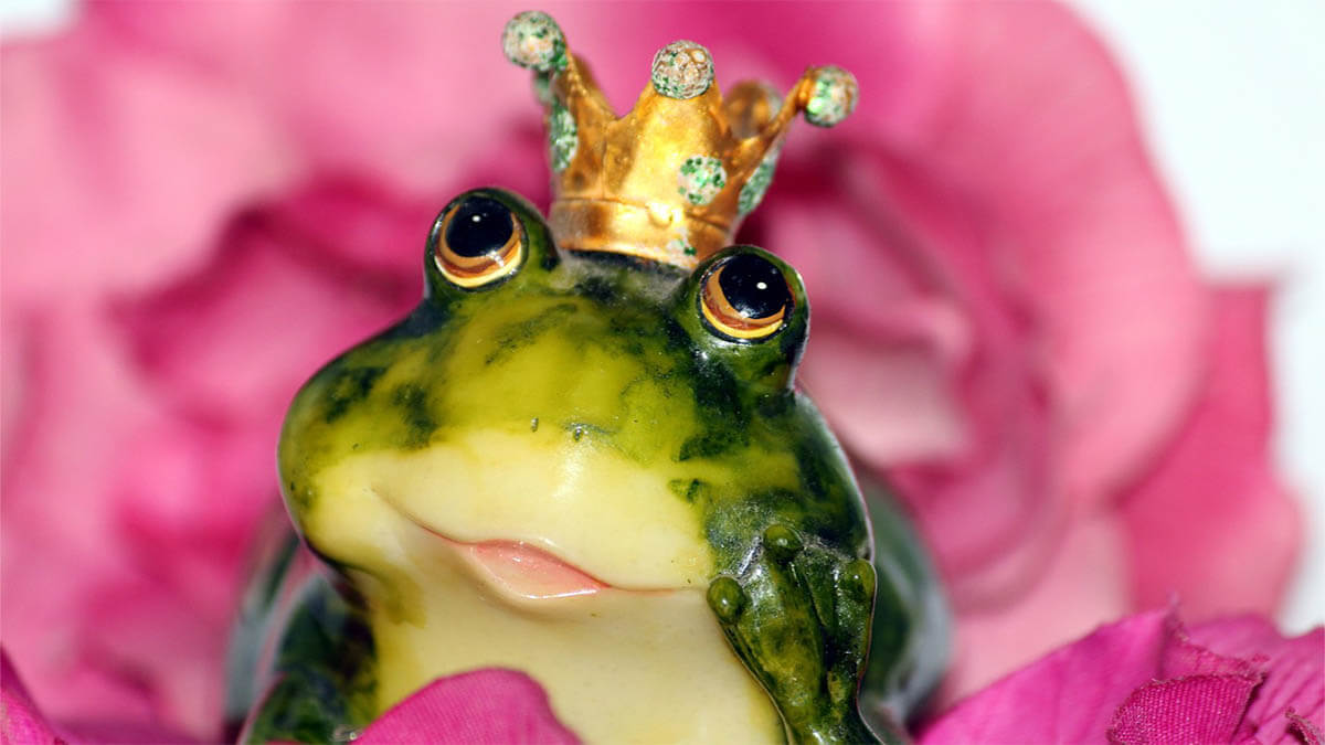 frosch-verliebt-rosa
