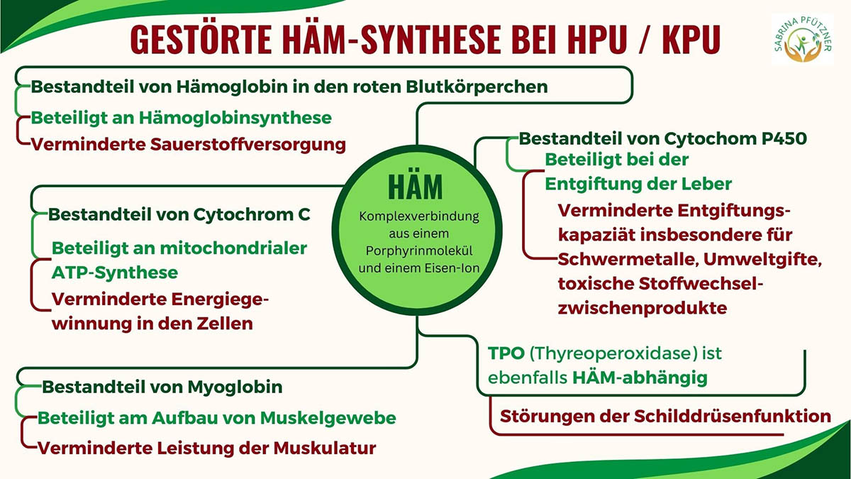 hpu kpu grafik1