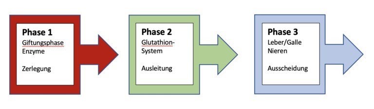 hpu kpu grafik4