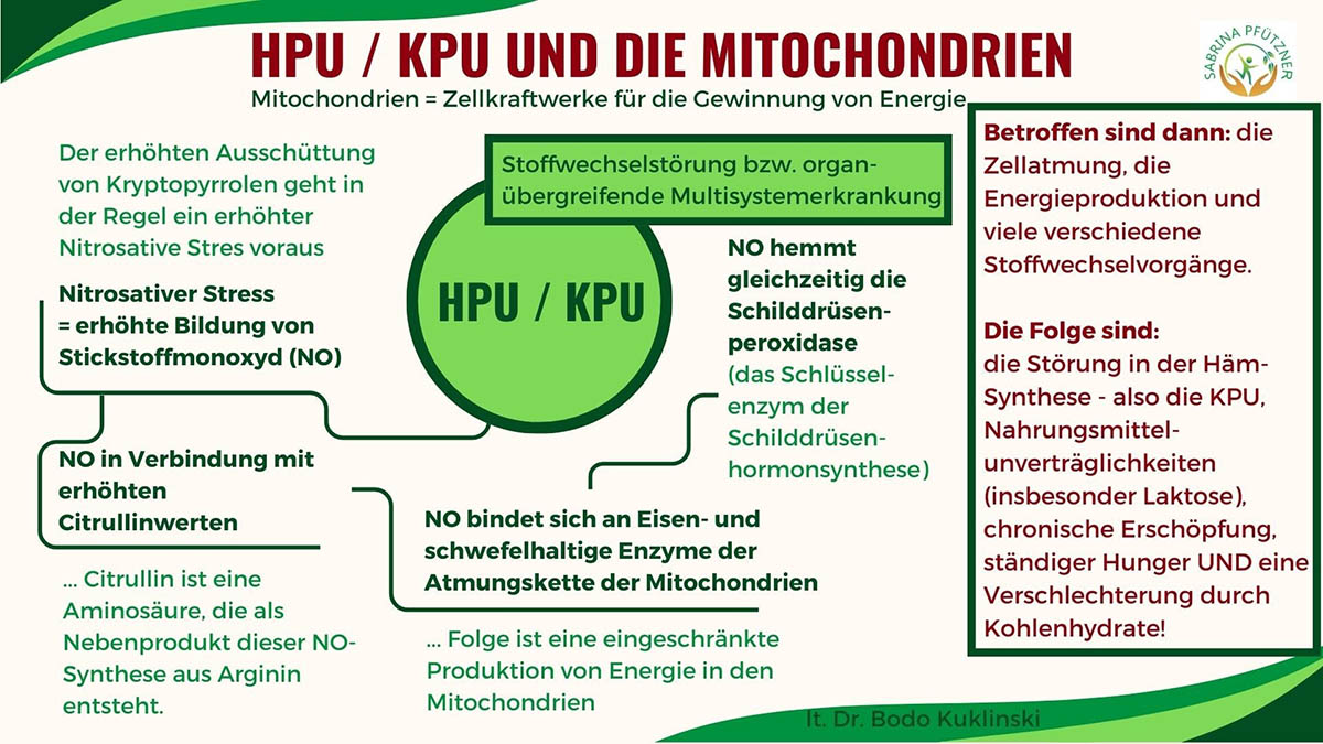 hpu kpu grafik5