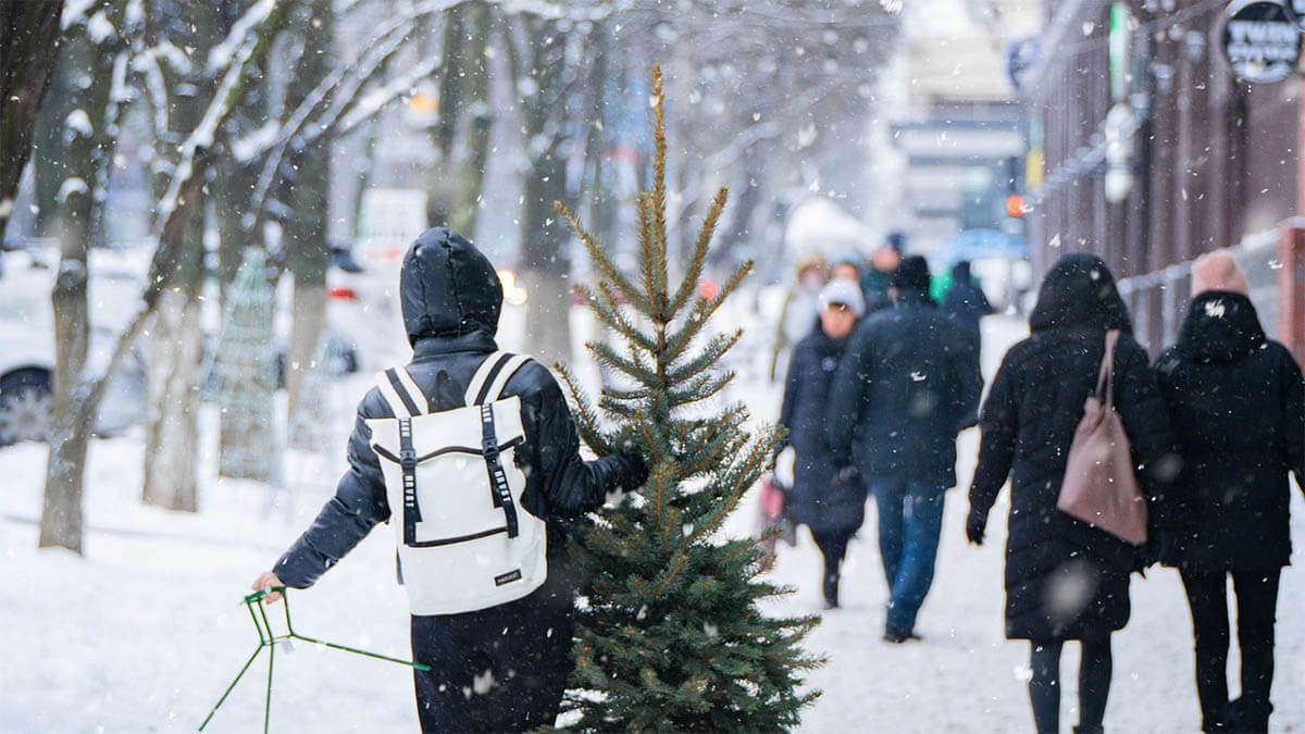 mann-christbaum-schnee
