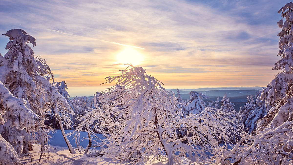 Die Rolle der Lichttherapie bei der Behandlung von saisonaler affektiver Störung sonnenstrahlen winter an