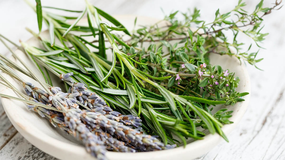 aromatische-kraeuter