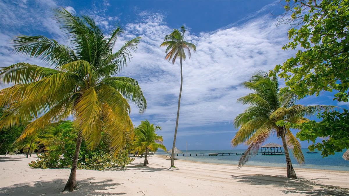 karibik strand an