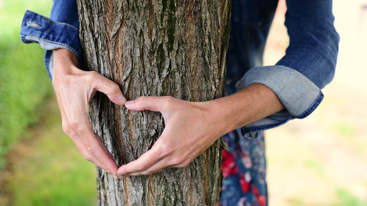 Umweltfreundliche Alternativen für den Haushalt baum-umwelt-herz