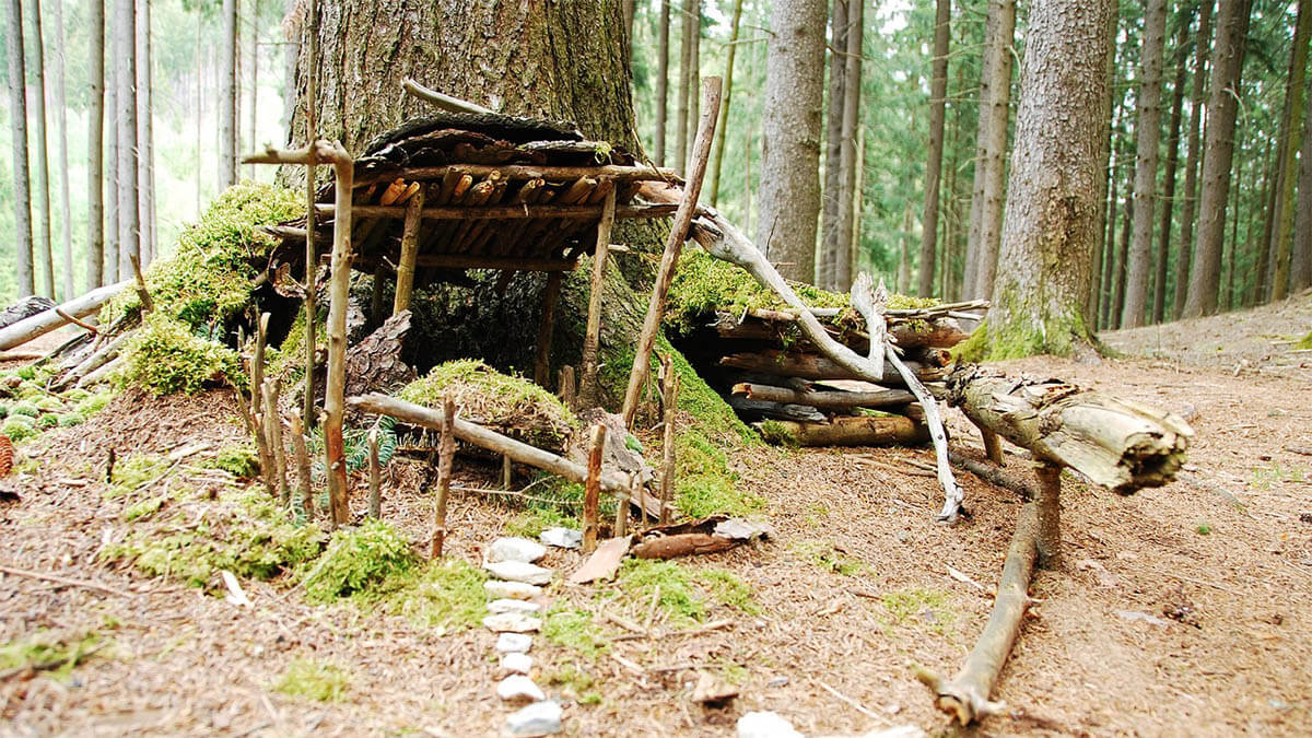 wald-unterkunft-baumhuette
